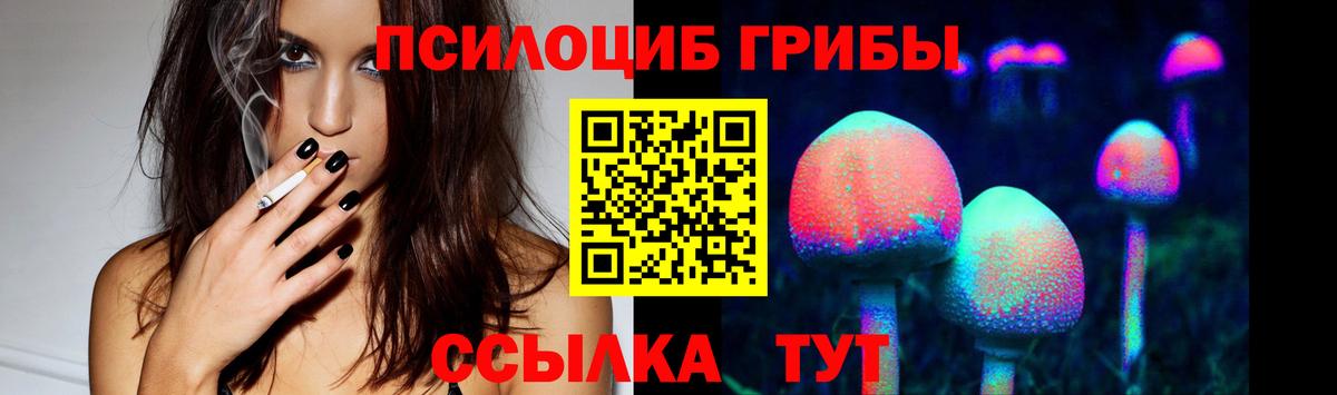 Галлюциногенные грибы Psilocybine cubensis Менделеевск